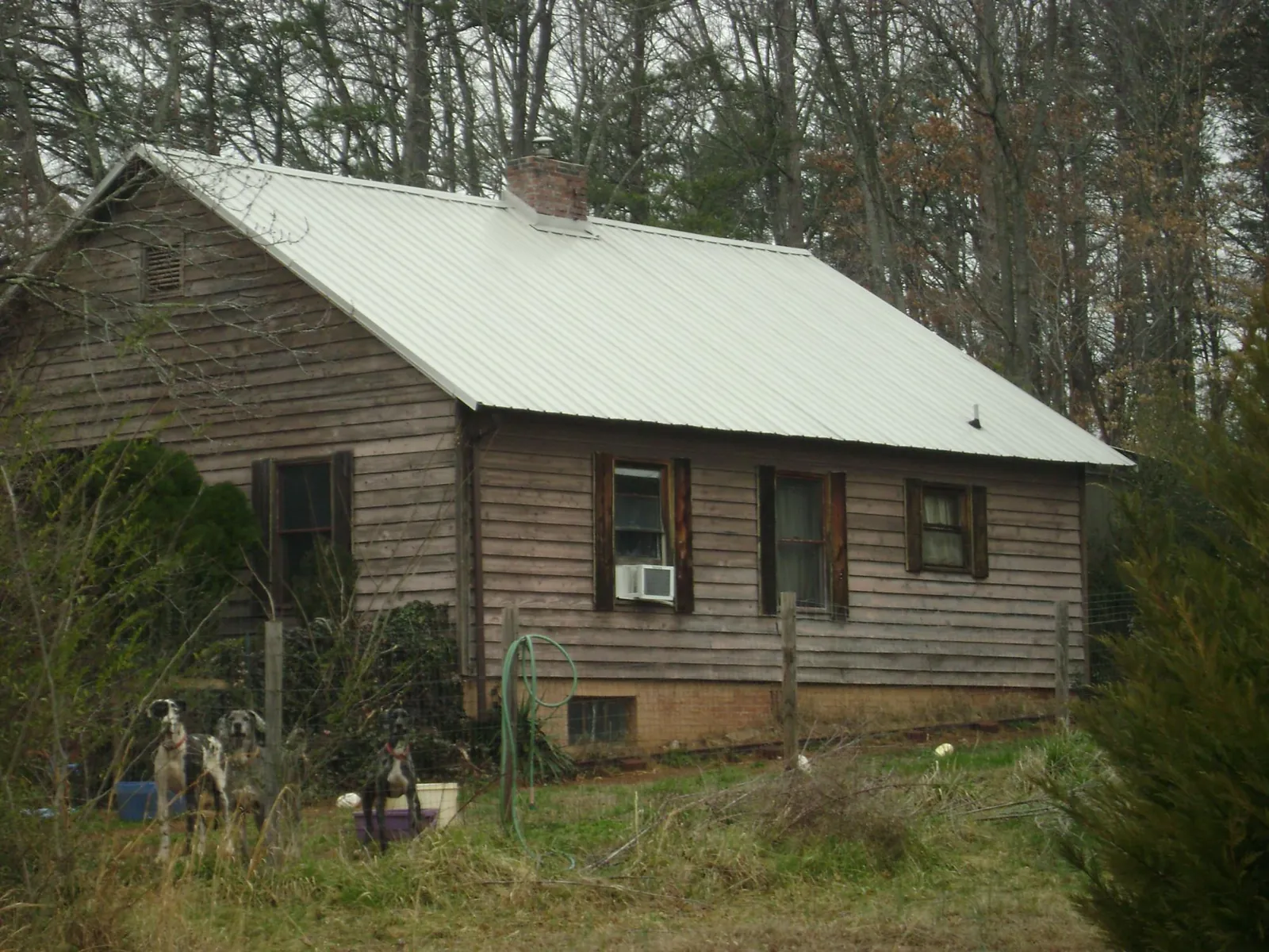 White metal roof on an old wood sided farmhouse, from a Asphalt Shingle Roof Repair job in Normalville